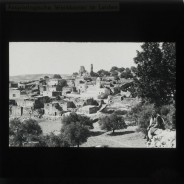 Böhl glass slide 62.1/2105